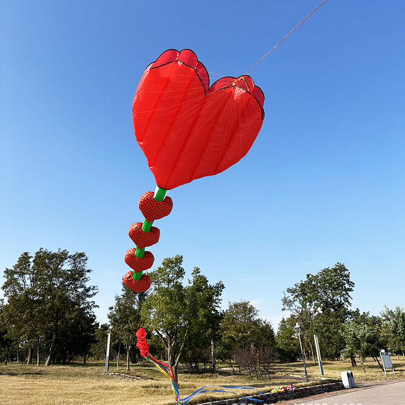 2026 Nuevo Cometa Inflable Sua - Kids Outdoor Area reseña y precio