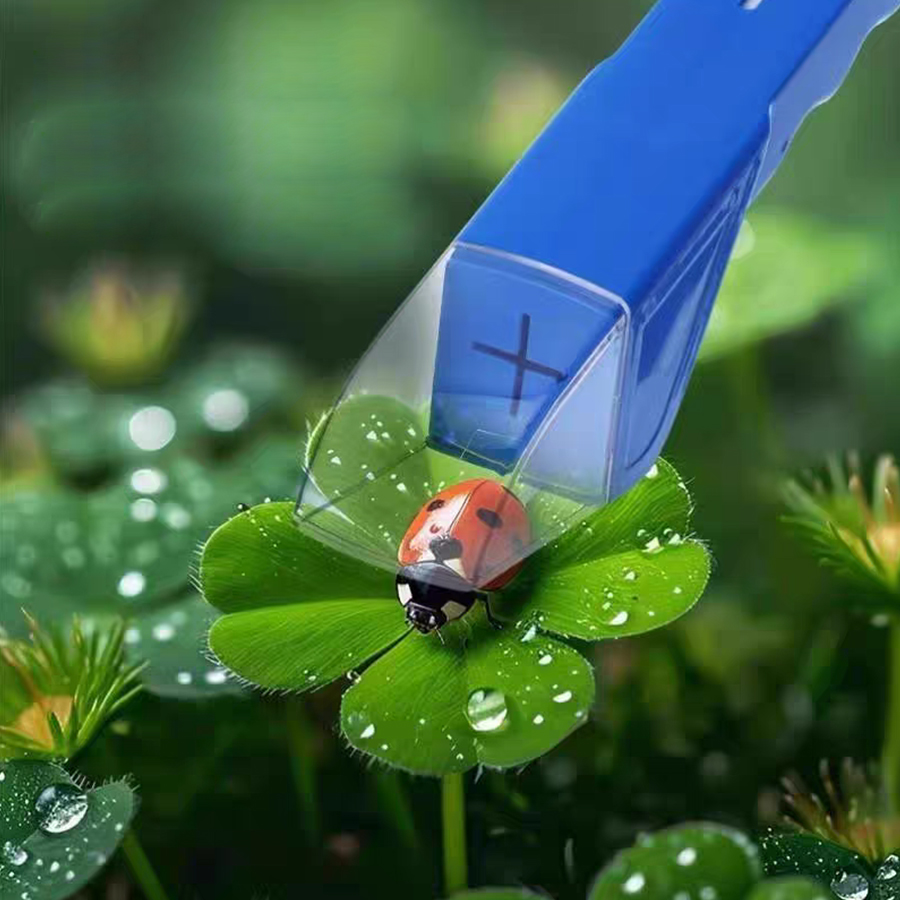 Caja Atrapa Insectos para Niño - Kids Outdoor Gifts reseña y precio